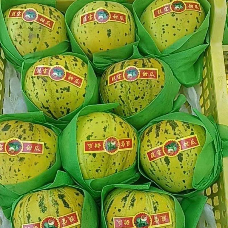东北八里香甜花蕾甜瓜大量现货欢迎询单合作，线上线下均可，