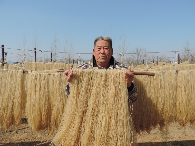 【禹州粉条厂】木薯粉条产地厂家直发禹州粉条支持视频看货