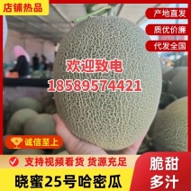甘肃民勤哈密瓜西州蜜瓜金红宝金色年华哈密瓜大量现货