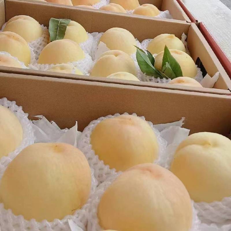 水蜜桃