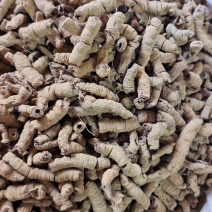 巴戟天巴戟肉抽芯选货量大优惠