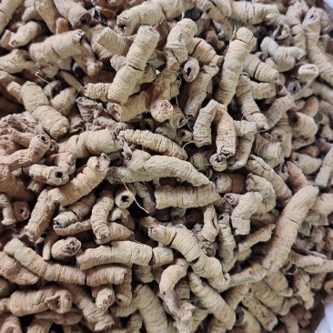 巴戟天巴戟肉抽芯选货量大优惠