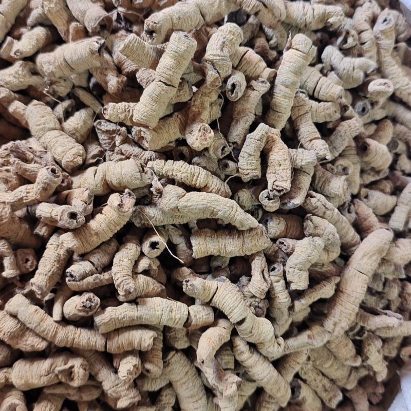巴戟天巴戟肉抽芯选货量大优惠