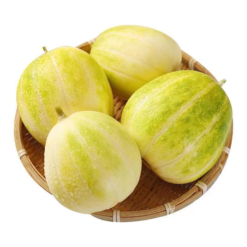 京蜜甜瓜油皮香瓜！东北大地甜瓜大量现货欢迎询单合作！