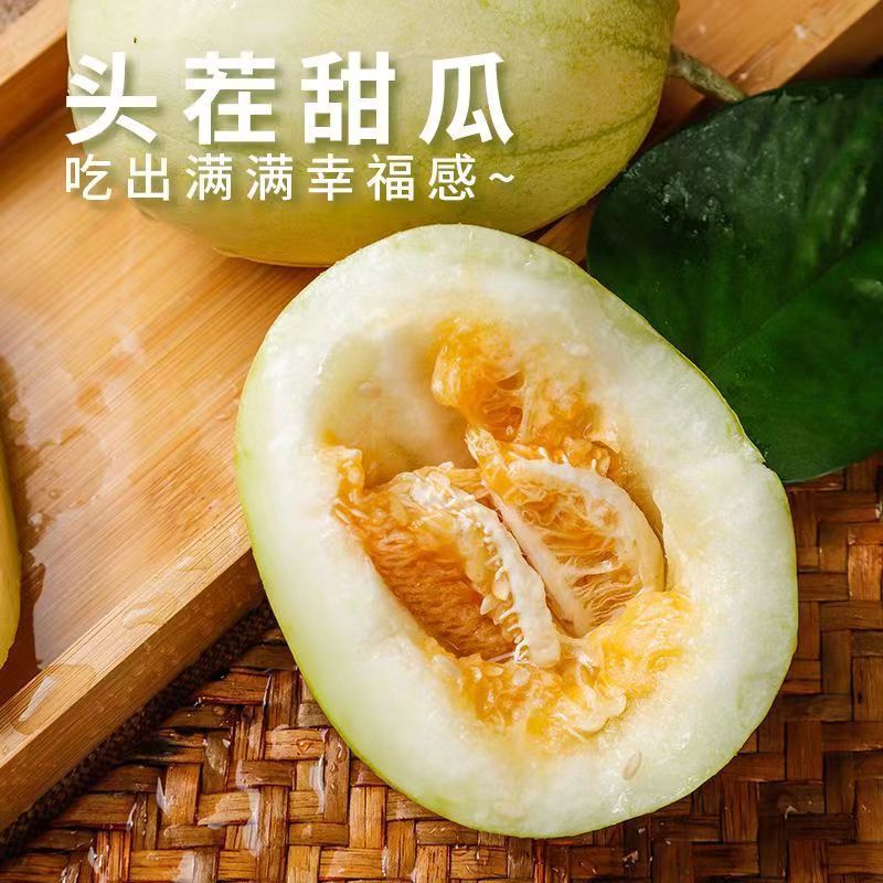 京蜜甜瓜油皮香瓜！东北大地甜瓜大量现货欢迎询单合作！