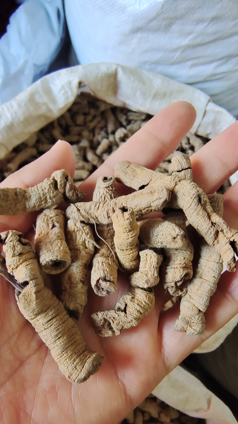 巴戟天巴戟肉抽芯选货量大优惠
