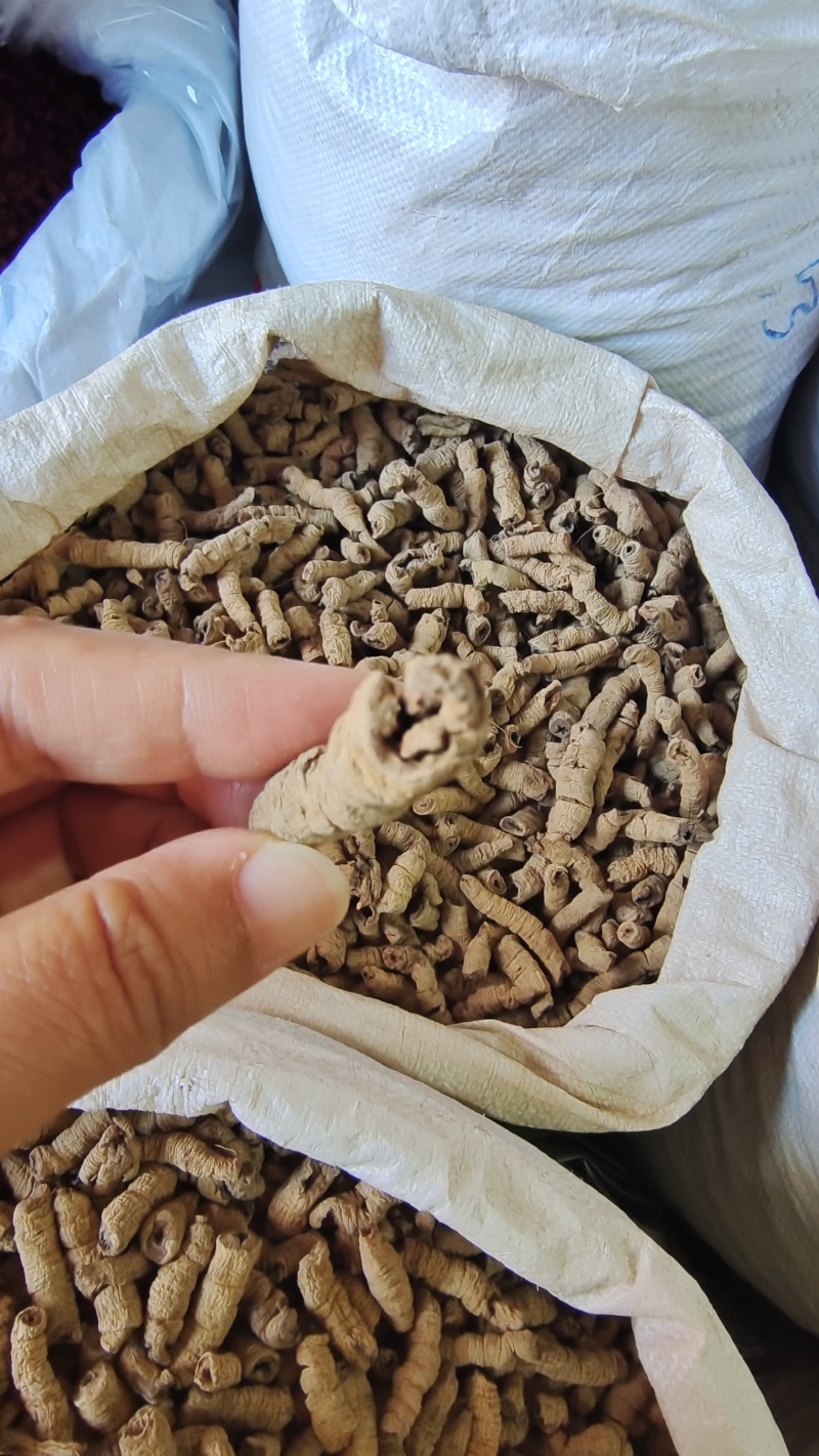 巴戟天巴戟肉抽芯选货量大优惠