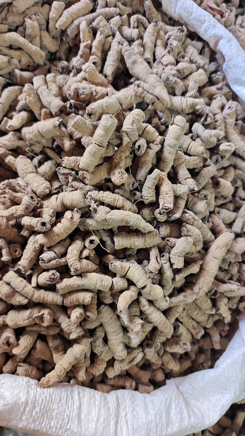 巴戟天巴戟肉抽芯选货量大优惠