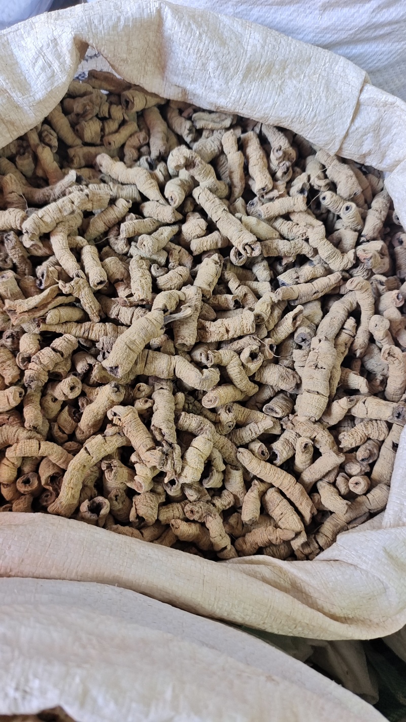 巴戟天巴戟肉抽芯选货量大优惠