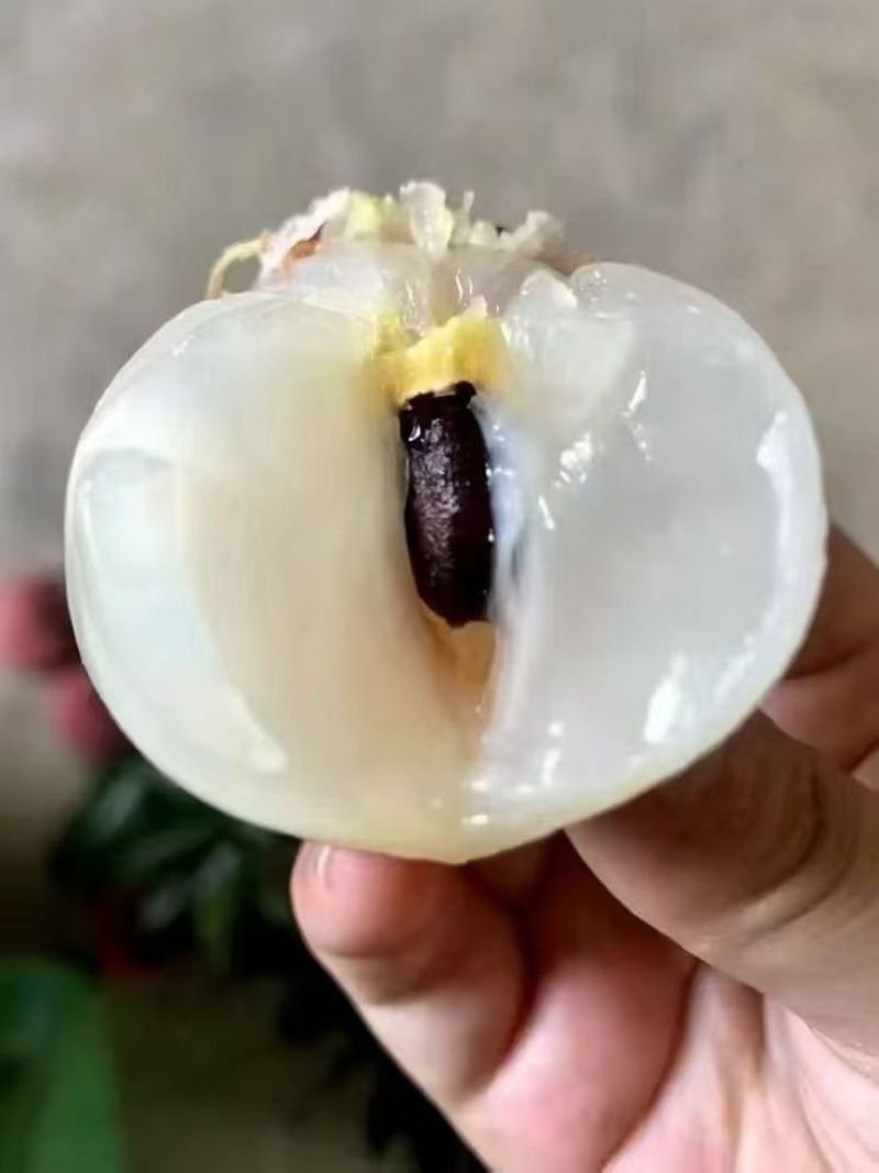 广西荔枝精品鸡嘴荔枝大量上市口感甜一件代发