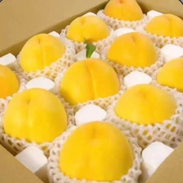 黄桃