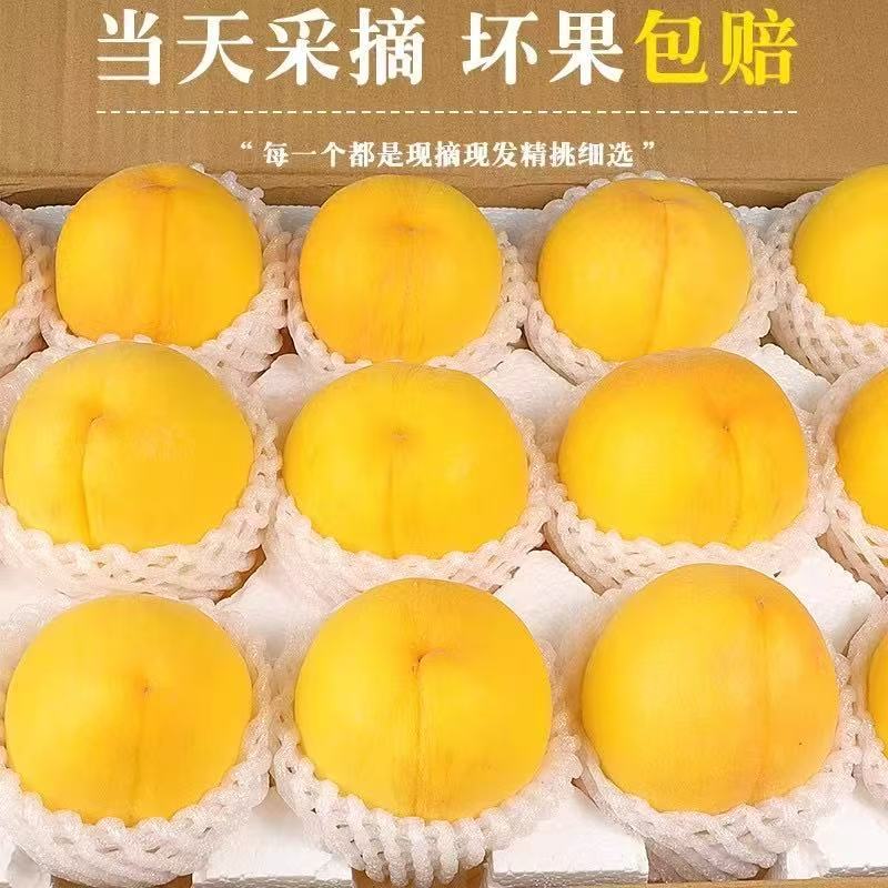 黄桃