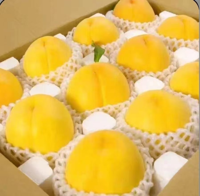 黄桃