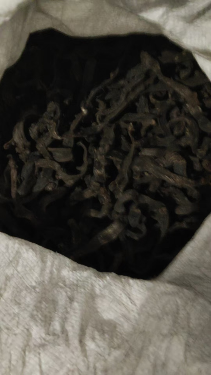 【每日推荐】贵州骨碎补新鲜骨碎补自然生长产地直发品质保障