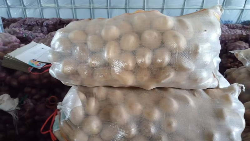 随州黄心土豆大量上市货源充足保质保量诚信合作欢迎来电