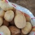 随州黄心土豆大量上市货源充足保质保量诚信合作欢迎来电