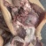 正宗美味牛头肉精选精品欢迎联系品尝