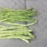 产地豆角大量上市！架豆王！白豆角无丝豆！小白龙豆角大紫袍