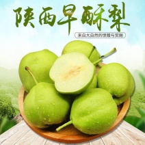 陕西青皮早酥梨青皮梨早熟梨基地直供量大从优