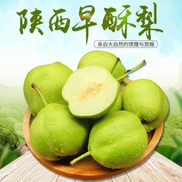 陕西青皮早酥梨青皮梨早熟梨基地直供量大从优