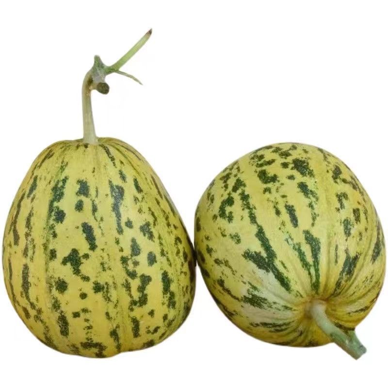 东北八里香甜瓜，花蕾甜瓜大量现货欢迎骚扰，线上线下均可