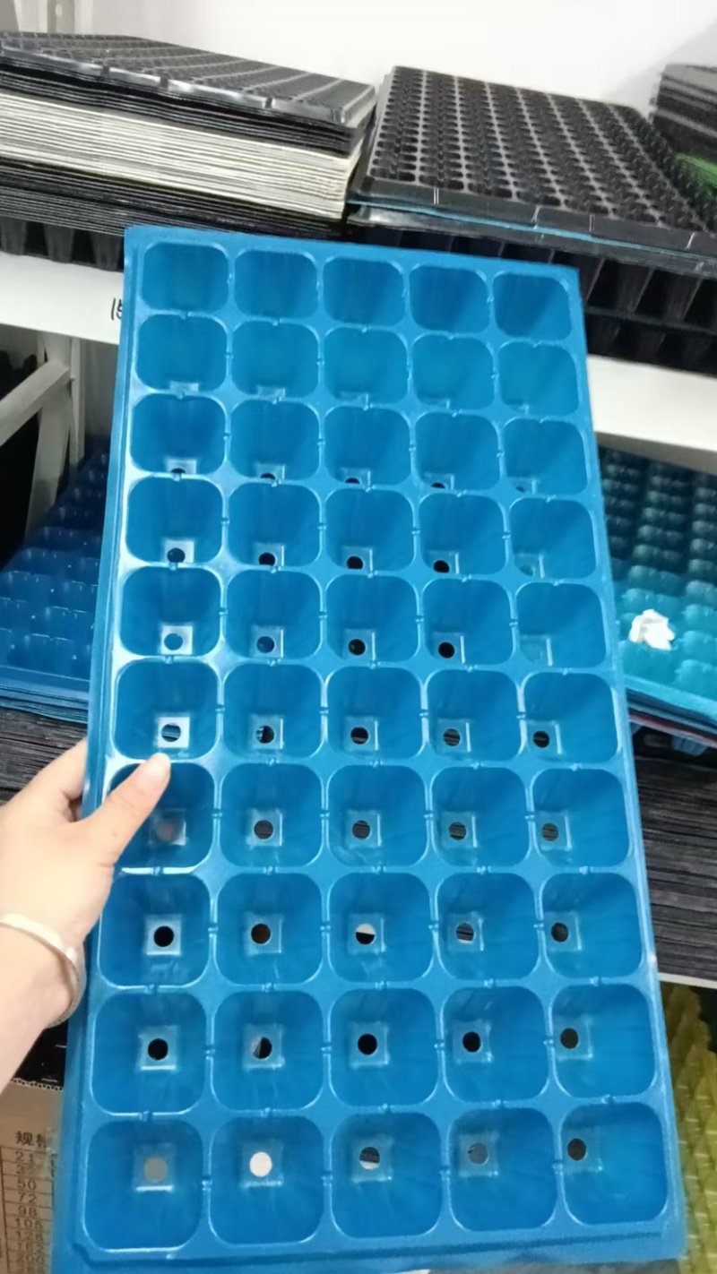育苗穴盘