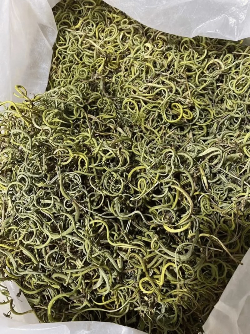 【每日推荐】贵州精品肾精草产地直发品质保障量大从优可视频