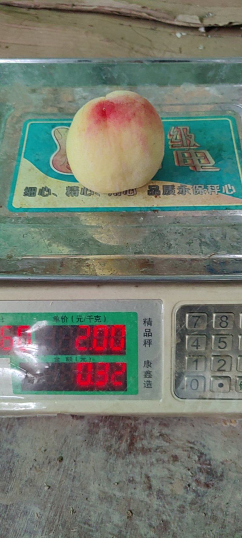 早啤酒桃