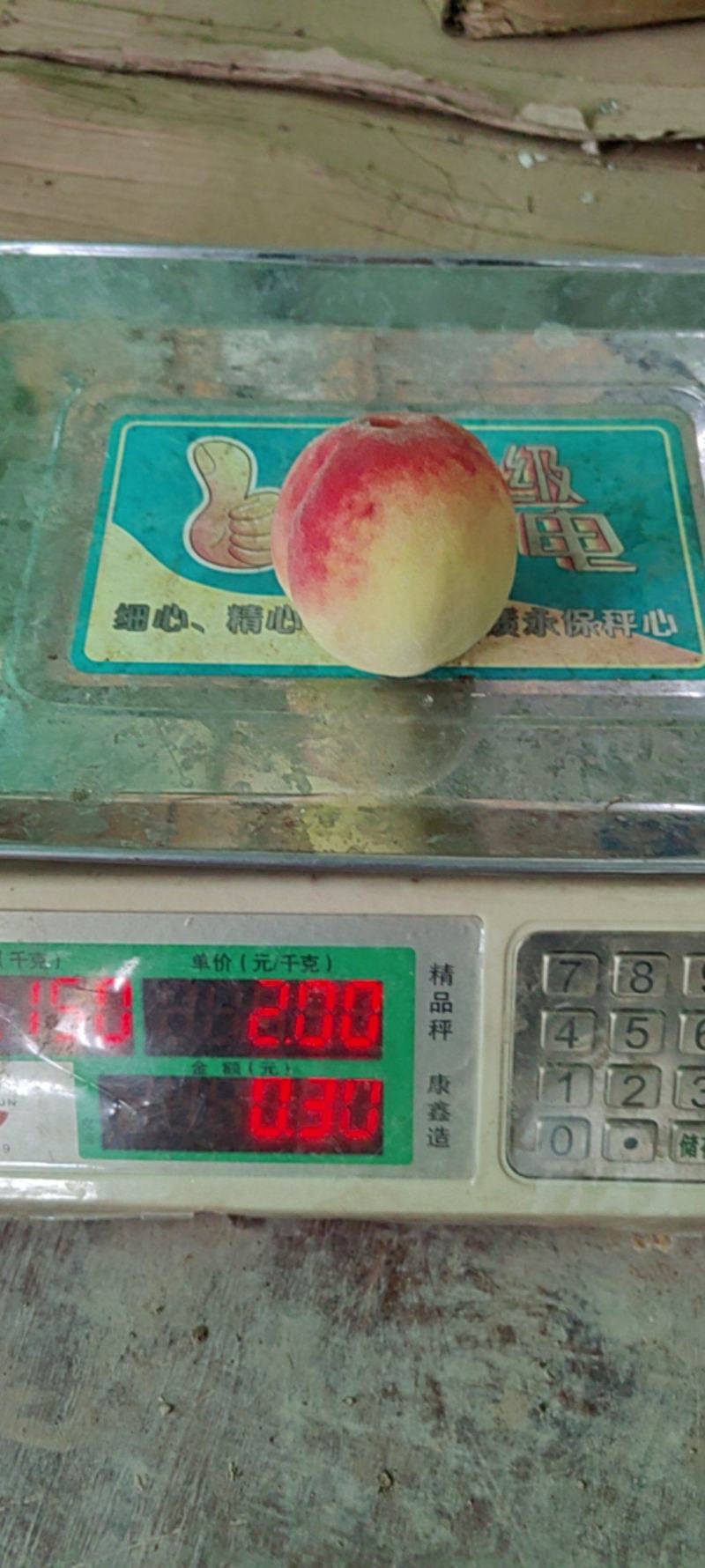 早啤酒桃