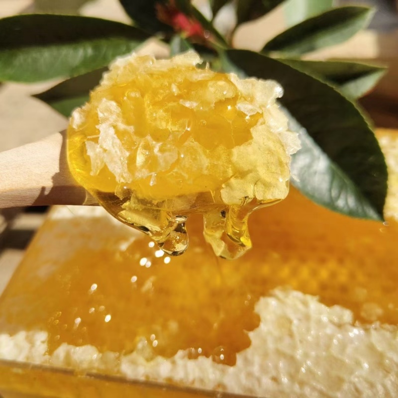 蜂巢蜜高档礼盒装精品巢蜜走亲访友高端大气上档次