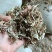 牛羊兔草料，小麦秸秆，花生秧