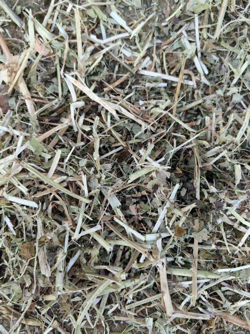牛羊兔草料，小麦秸秆，花生秧