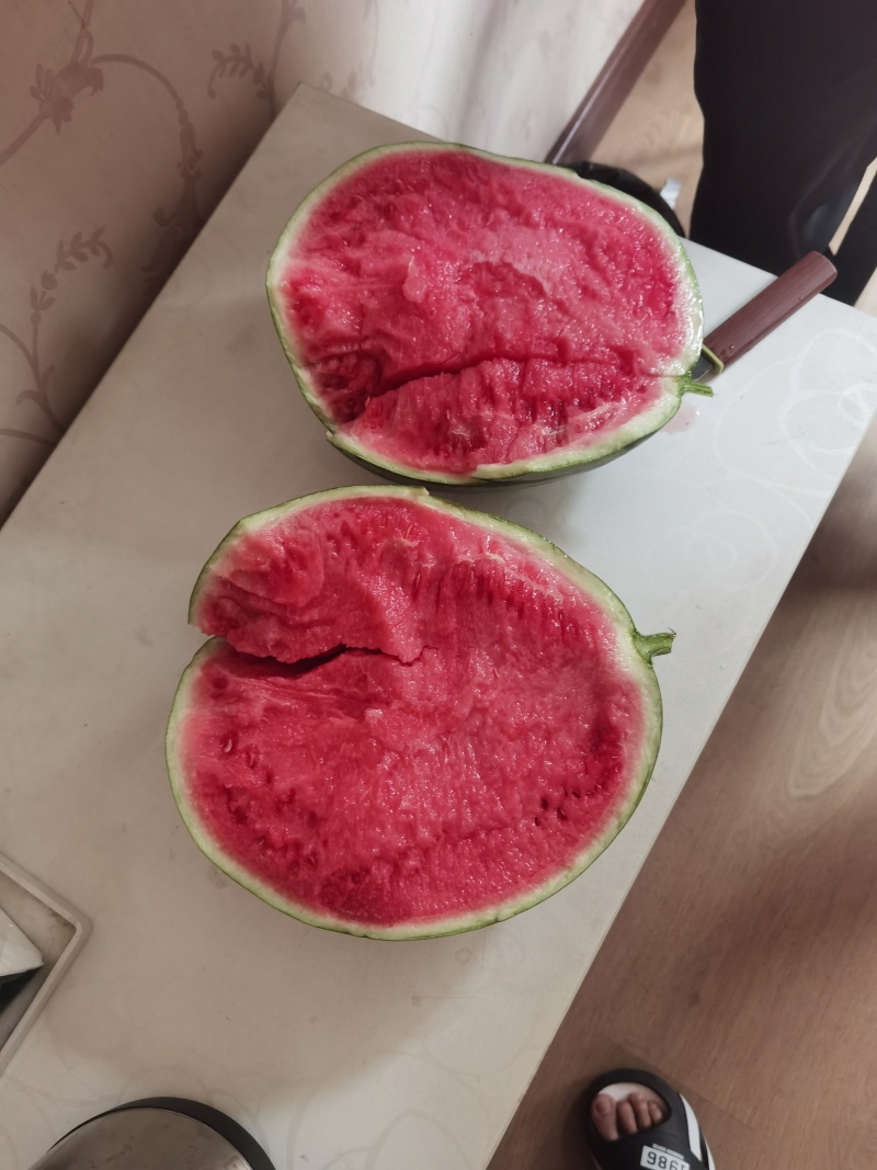 小糖丸，甜王，美都西瓜安陕西渭南一手货源产地直发