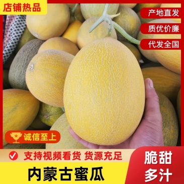 【实力推荐】内蒙古蜜瓜一手货源稳定供应市场批发电商团购