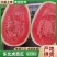 【热卖中】内蒙古东北虎西瓜绿爽西瓜品种齐全量大从优批发