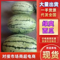 【实力供应】内蒙古绿爽西瓜大量现货批发电商团购便宜量大