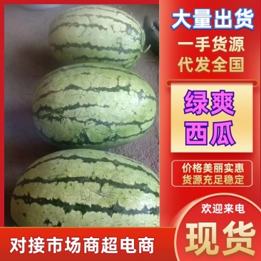 【实力供应】内蒙古绿爽西瓜大量现货批发电商团购便宜量大