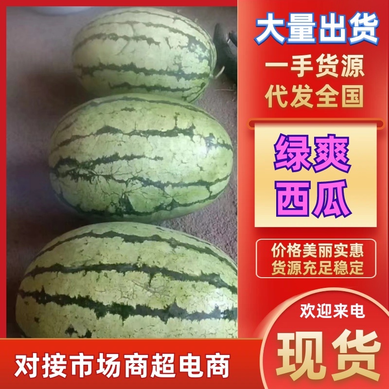 【实力供应】内蒙古绿爽西瓜大量现货批发电商团购便宜量大