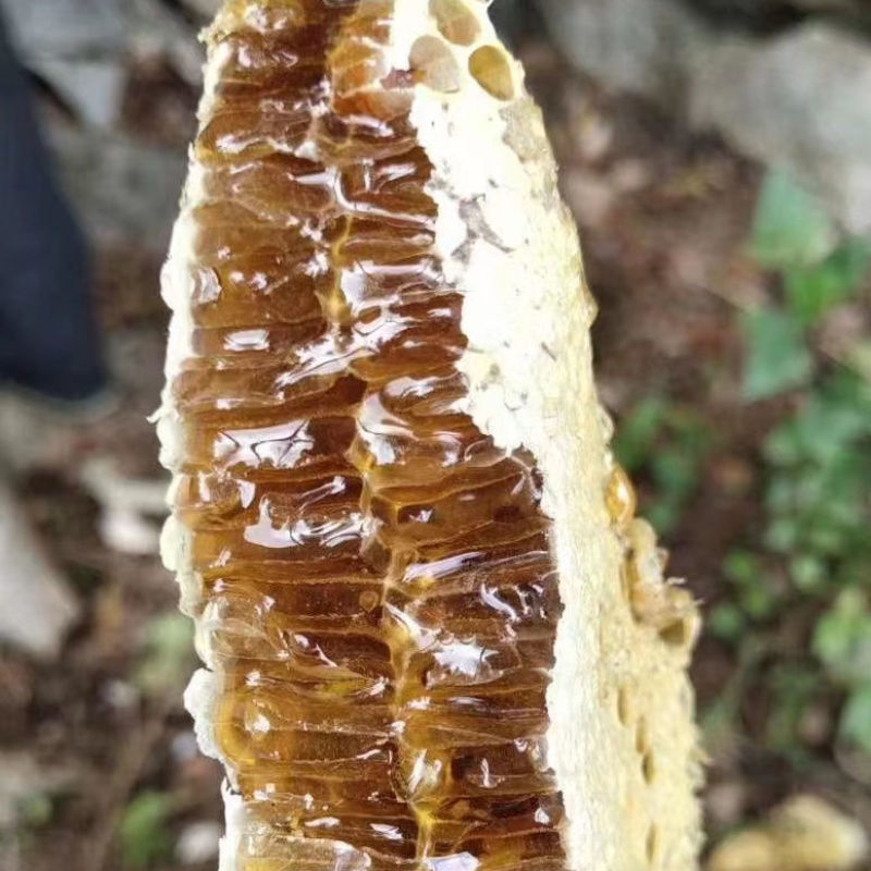 产地云南保山野生土蜂蜜