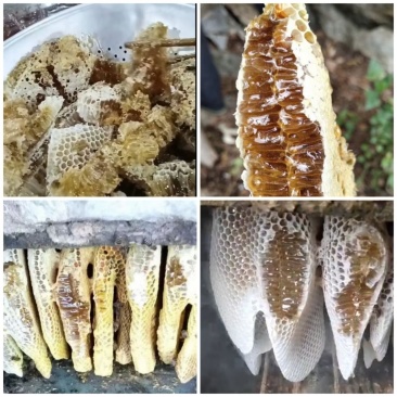 产地云南保山野生土蜂蜜