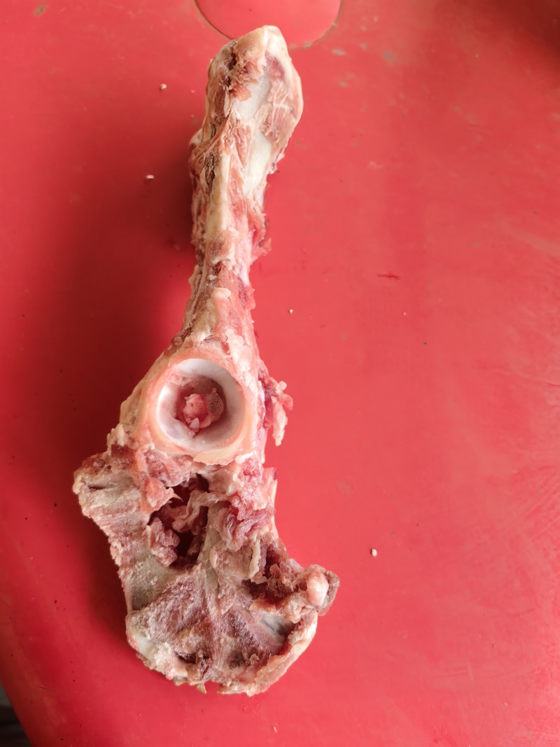 熬汤羊叉骨，一袋50斤
