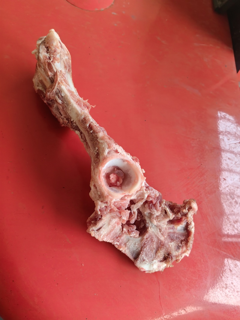 熬汤羊叉骨，一袋50斤