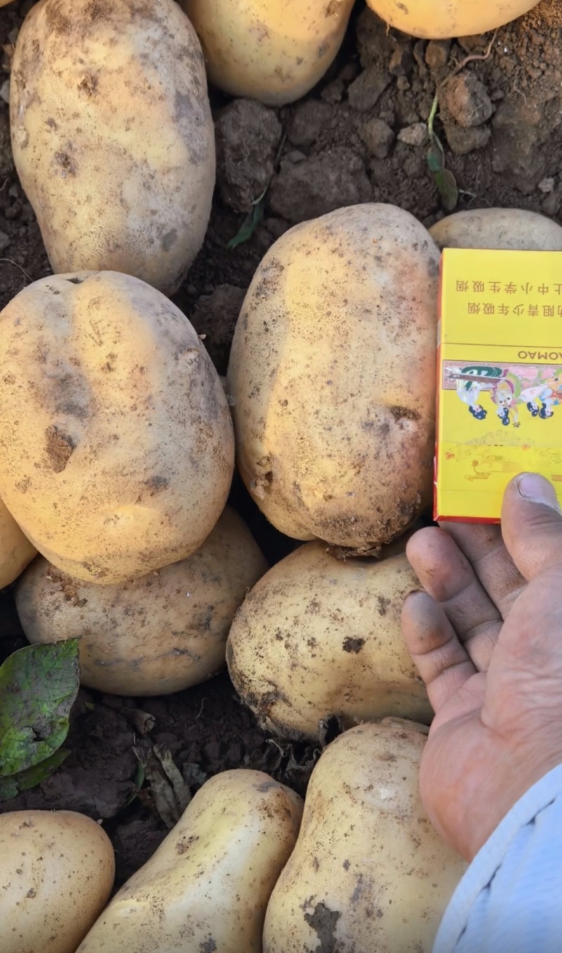 商品土豆
