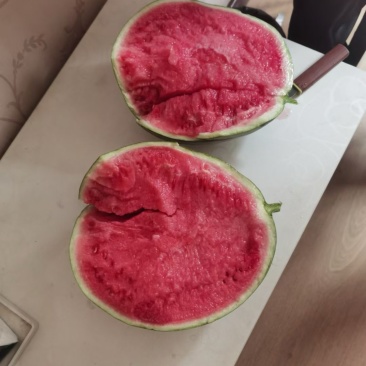 咸阳兴平市大棚无籽美都