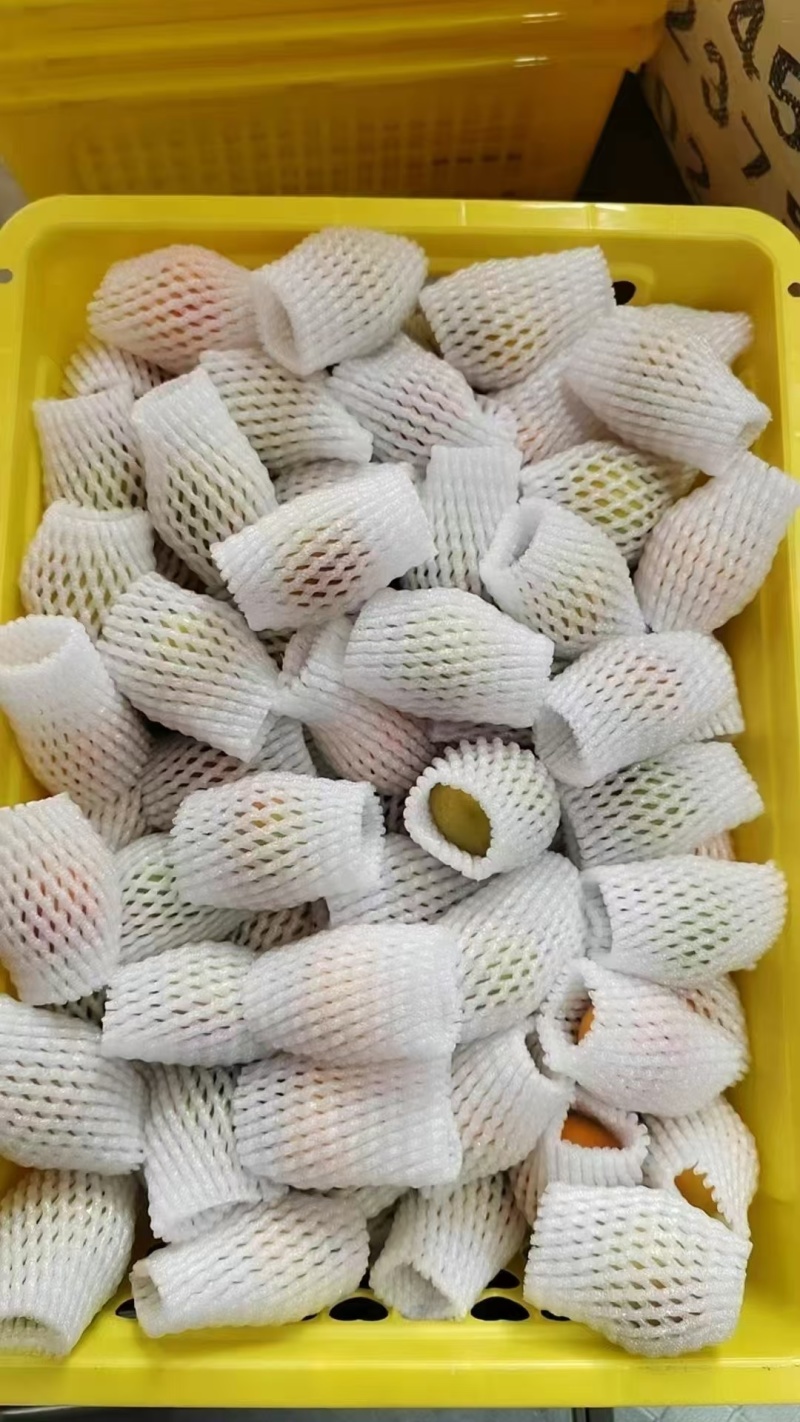 新疆伊犁果农