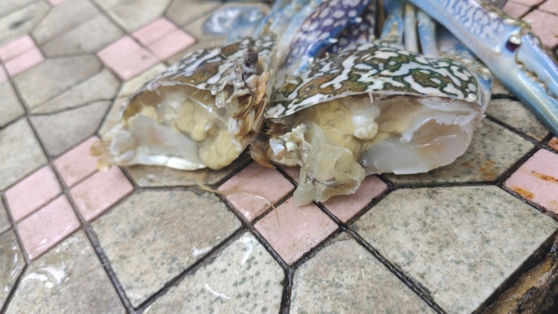 兰花蟹冻蟹