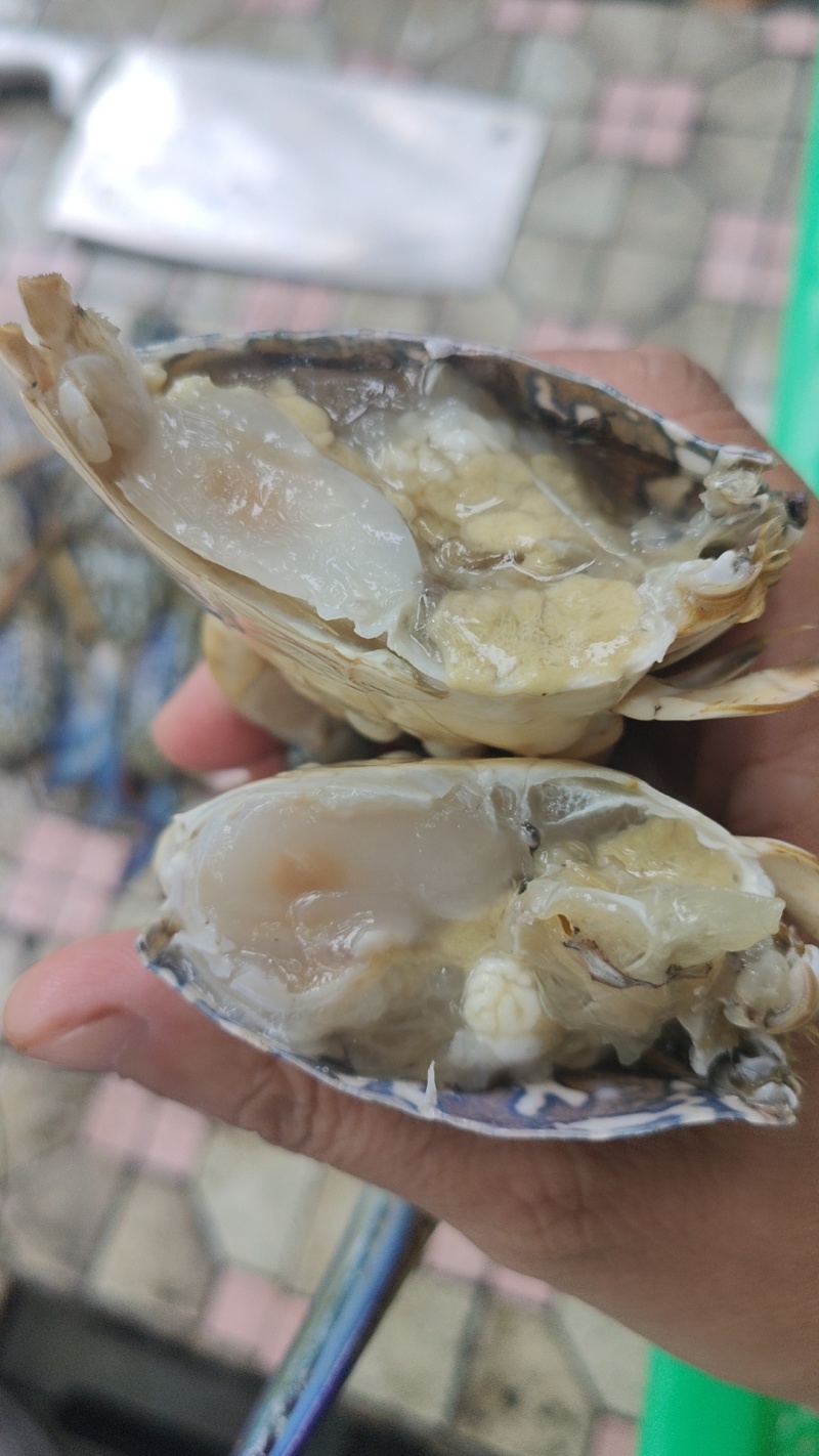 兰花蟹冻蟹