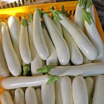 新鲜采摘，产地直发