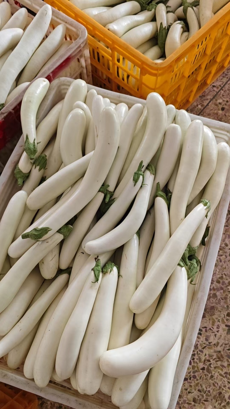 新鲜采摘，产地直发