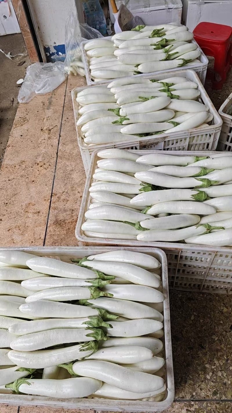 新鲜采摘，产地直发